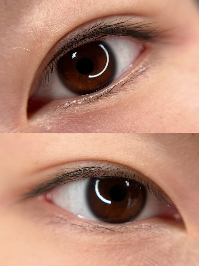 Close-up of a Korean lash lift result, lashes lifted from the root